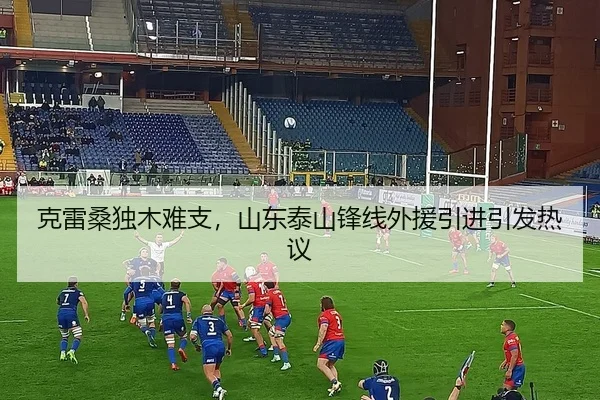 ke-lei-sang-du-mu-nan-zhi-shan-dong-tai-shan-feng-xian-wai-yuan-yin-jin-yin-fa-re-yi-2-313.jpg